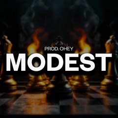 [FREE] Hard Flint x YN Jay x Detroit Type Beat 2024 - "Modest"