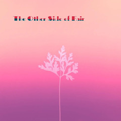 The Other Side of Fair