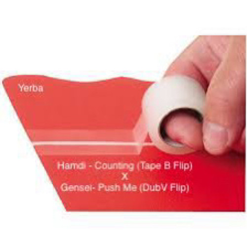 Hamdi - Counting (Tape B flip) X Genesi - Push Me (DubV Flip) [YERBA MASHUP] [FREE DOWNLOAD]