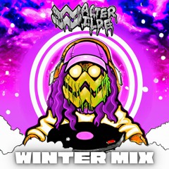 Walter Wilde's Winter Mix (A Blizzard of Wilde Wonks & Bass Bonks)