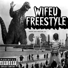 WIFEU FREESTYLE
