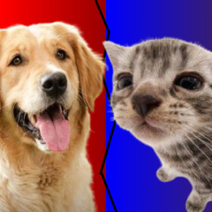 EPIC GOONING BATTLES OF HISTORY (DOG VS CAT)