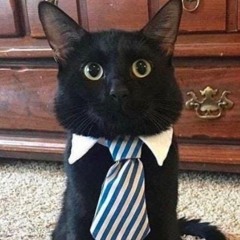 baldemoboy — UGLYCAT