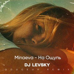 Dj Levsky & Minaeva - На Ощупь ( Douceur Remix )