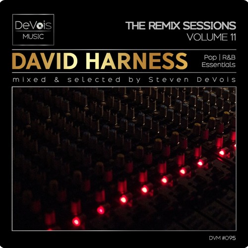 The Remix Sessions (Volume 11) | David Harness (Pop And R&B Essentials)