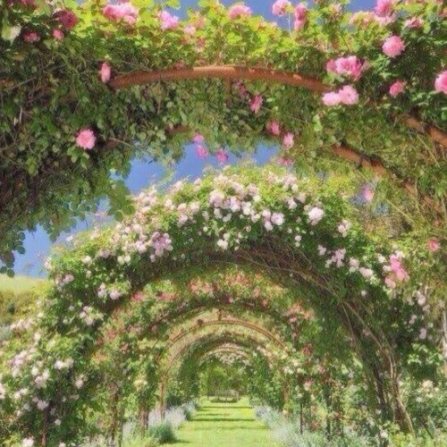 lain (C4FF31N3) sped up