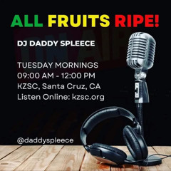 2013 09-17 All Fruits Ripe DJ Daddy Spleece