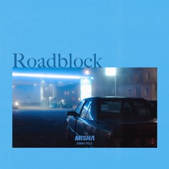 Misha & Danny Polo - Roadblock