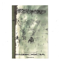 stormchasing [ambient]  - no essay or xina