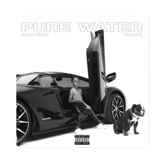 Pure Water (Sundaze Service Remix)
