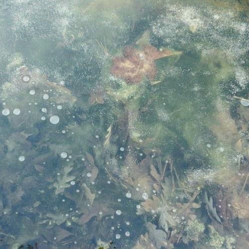 billlie – eunoia
