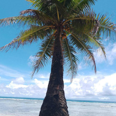 SATAWAL ISLAND (cover by ‼️💥AnnaLisa ft.Bray&Ace)💥‼️