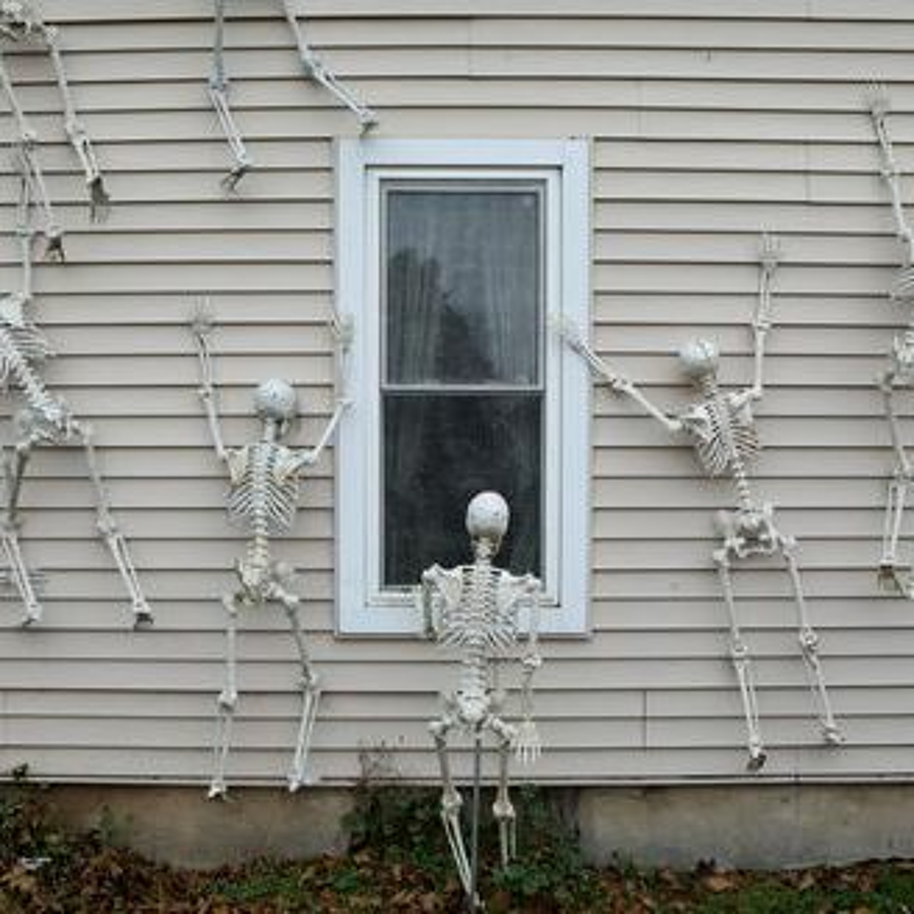 2021 Spooktober Mid-Month Check-In