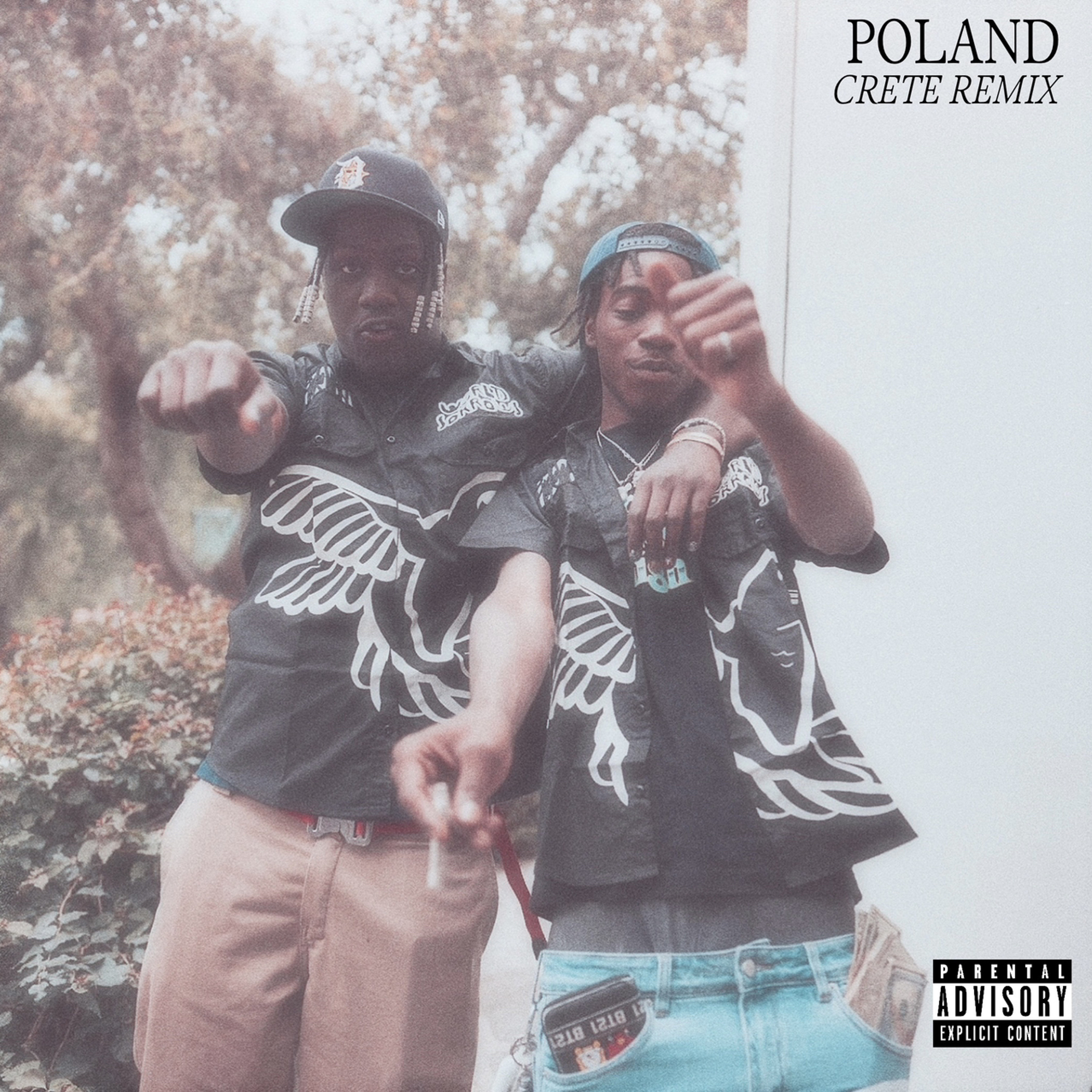POLAND REMIX episode artwork