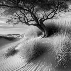 Circumstantial (Citation Mix)