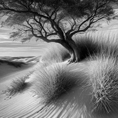 Circumstantial (Citation Mix)