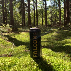 Dj gunnes & MC Pintholdah b2b Höör dance site 2024.m4a