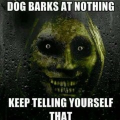 Dog barks at nothing. (Keep telling yourself that)