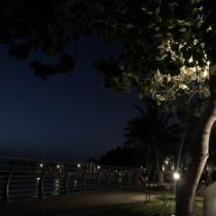 أحبك إسمعها أترجاك إفهمها ..