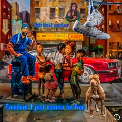 Freedom, I Just Wanna Be Free