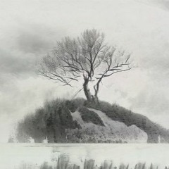 D1 - A Fading Reality