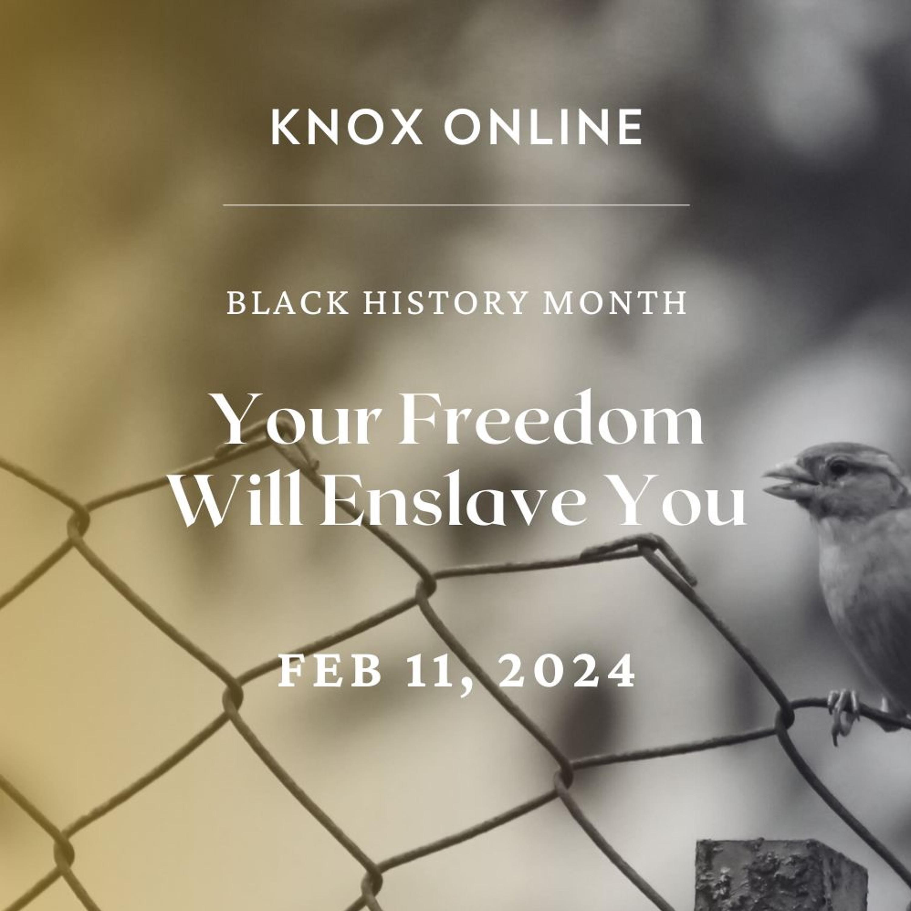 February 11, 2024 | Romans 6:1-10, 18 | Your Freedom Will Enslave You episode artwork