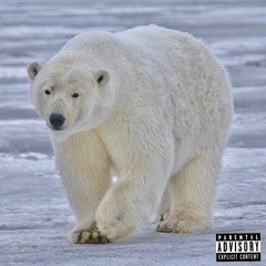 T.R.A. LONGWAY - Polar Bear