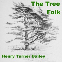 The Tree Folk by Henry Turner Bailey