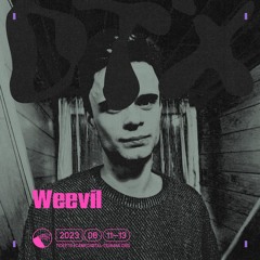 Weevil DJ set @ DT CAMP 2023
