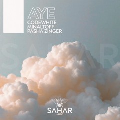 CodeWhite, Minaltoff - Aye (Original Mix)