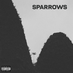 sparrows