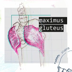 Maximus Gluteus