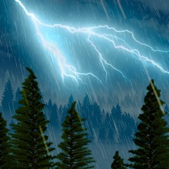 Thunderstorm Sleep Sounds + Rain White Noise (75 Minutes)
