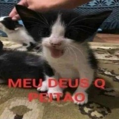 porra do karaio