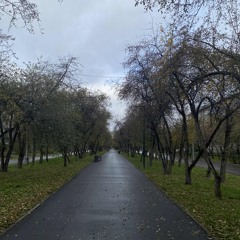 апфс + капсайз