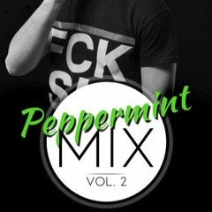 Steno! - Peppermint Mix Vol.2