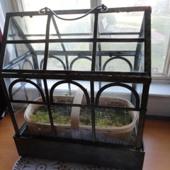 432hz piano serum2 granulizer 447hz blur