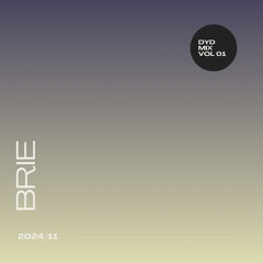 DYD MIX #01 - BRIE (HOUSE, ELECTRO MIX)