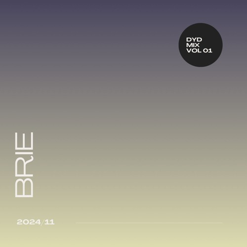 DYD MIX #01 - BRIE (HOUSE, ELECTRO MIX)