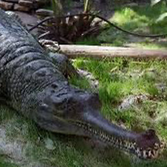 et-electric-hennessey