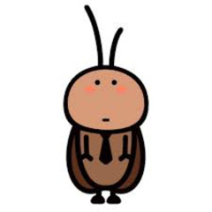 NU CUOI 18 20 x NAVY reup