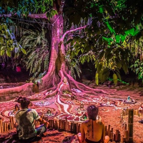 Experimentar É Viver