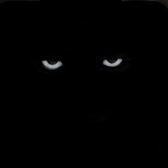 My Shadows