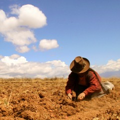 Ep #3: Estrategias de largo plazo de salida a la crisis de seguridad alimentaria en América Latina