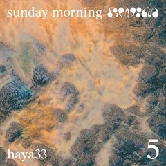 sunday morning swim 5: haya33