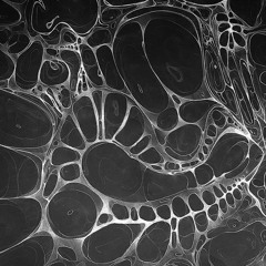 Tu Te Pierdes - Ezpora & Slans