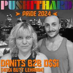 HEIDI @ PUSHITHARD / PRIDE 2024