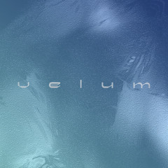 velum
