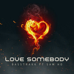 Basstrakk feat Sam Ho - Love Somebody