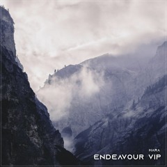 Endeavour VIP